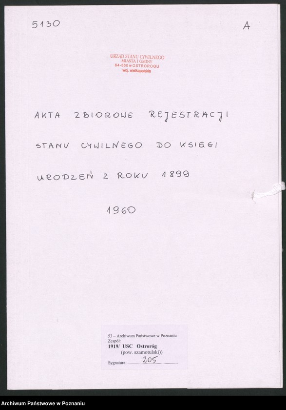 image.from.unit.number "Akta zbiorowe rejestracji stanu cywilnego do księgi urodzeń z roku 1899"