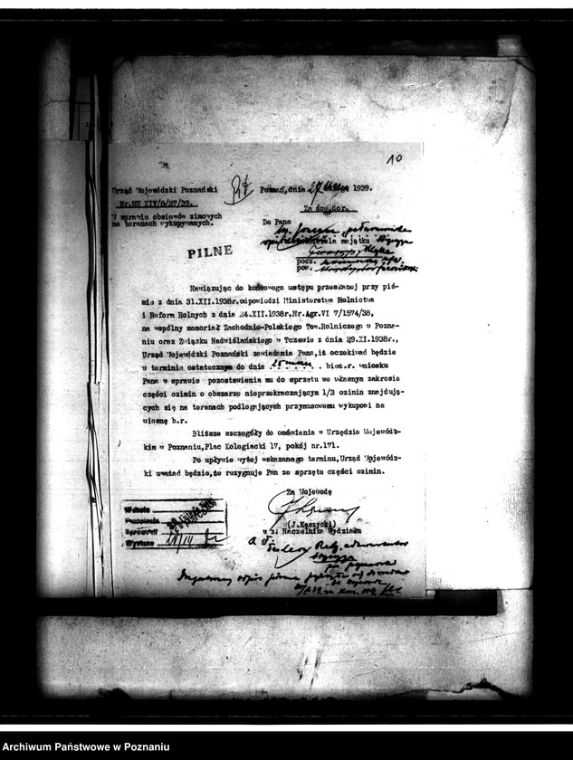 Obraz 20 z jednostki "Administracja przejściowa majątku Strzeszyn powiatu poznańskiego"