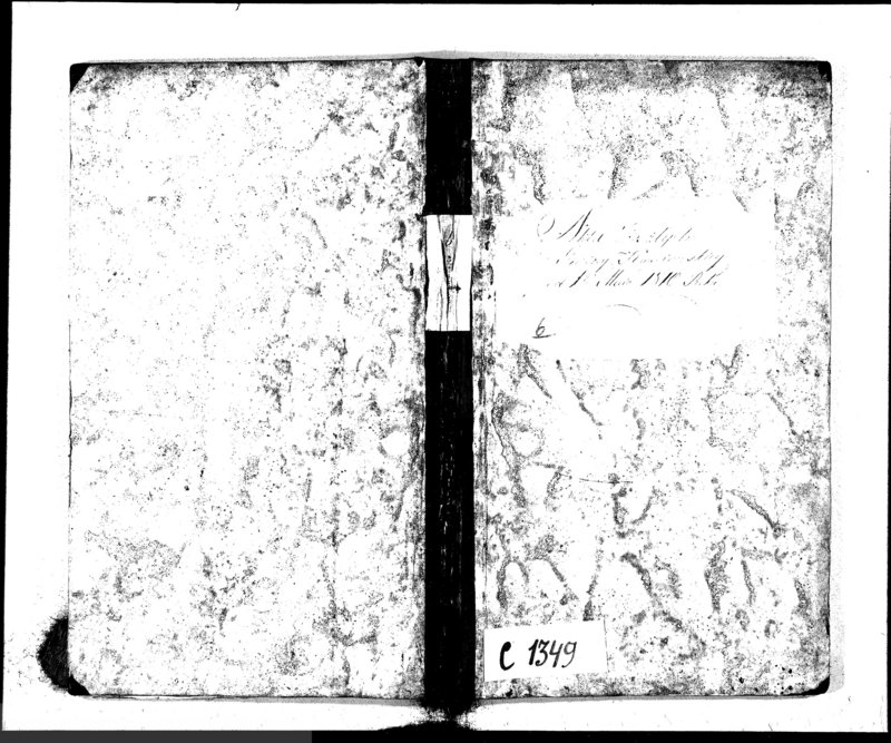 Obraz 2 z jednostki "Akta Zeszłych Gminy Kopciowskiey od 1-go Maia 1810 R."