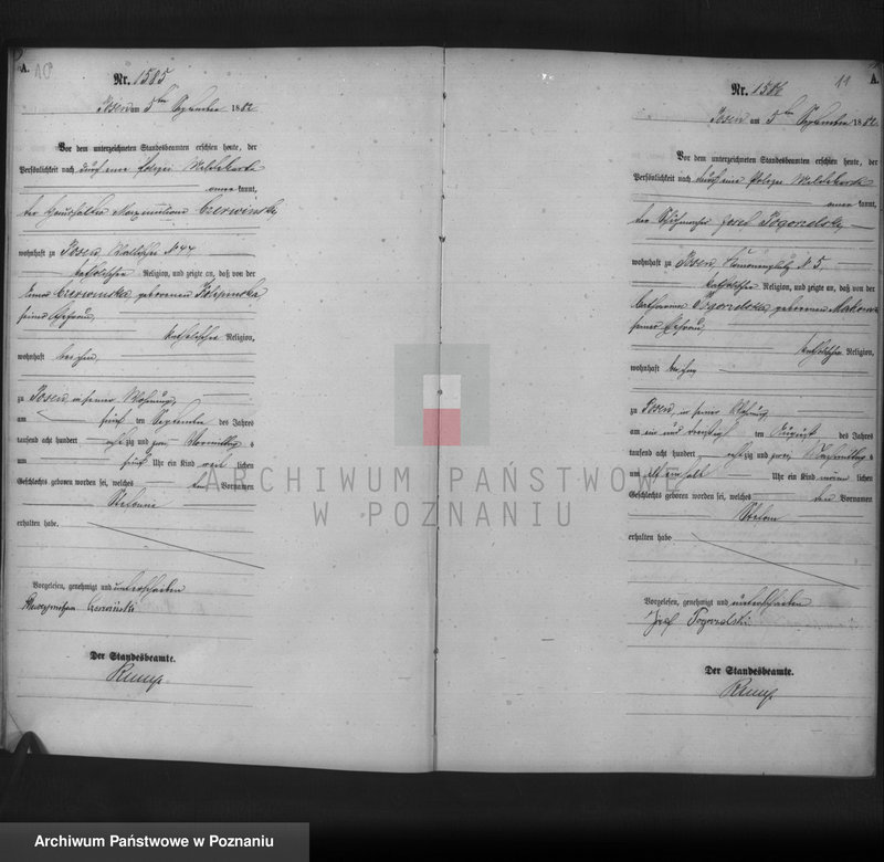 Obraz 7 z jednostki "Księga urodzeń t. IV"