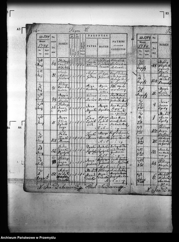 Obraz 11 z jednostki "[Kopie ksiąg metrykalnych parafii Szandrowiec (dekanat Turka)]"