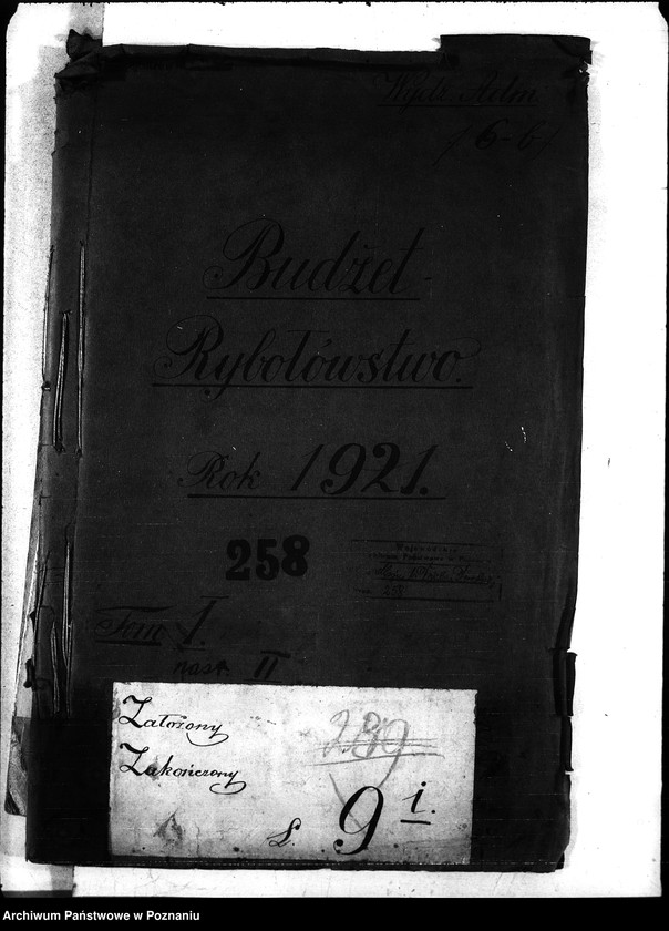 Obraz 4 z jednostki "Budżet - rybołówstwo rok 1921"