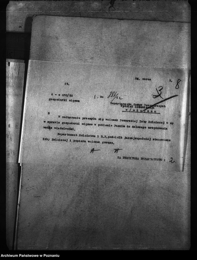 Obraz 12 z jednostki "Obrót mięsem"