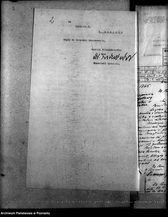 Obraz 6 z jednostki "Sprawy szczegółowo-administracyjne Drobny inwentarz i drób"