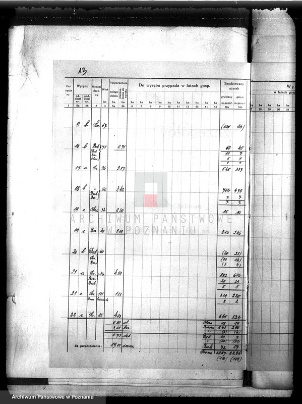 image.from.unit.number "Plan urządzenia gospodarstwa leśnego dla lasu majętności Białokosz powiat międzychodzki 1929-1939"