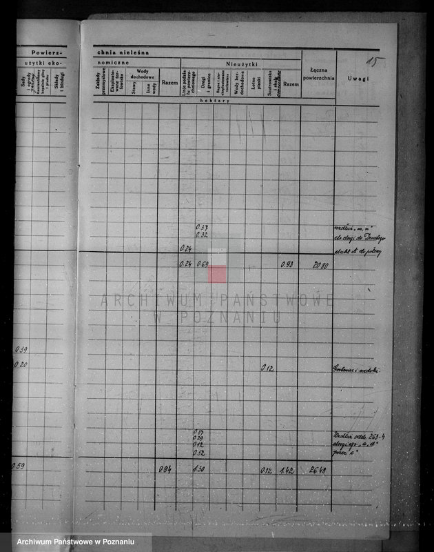 Obraz 19 z jednostki "/Nadzór nad gospodarką w lasach majątku Krucz-Goraj w powiecie czarnkowskim"
