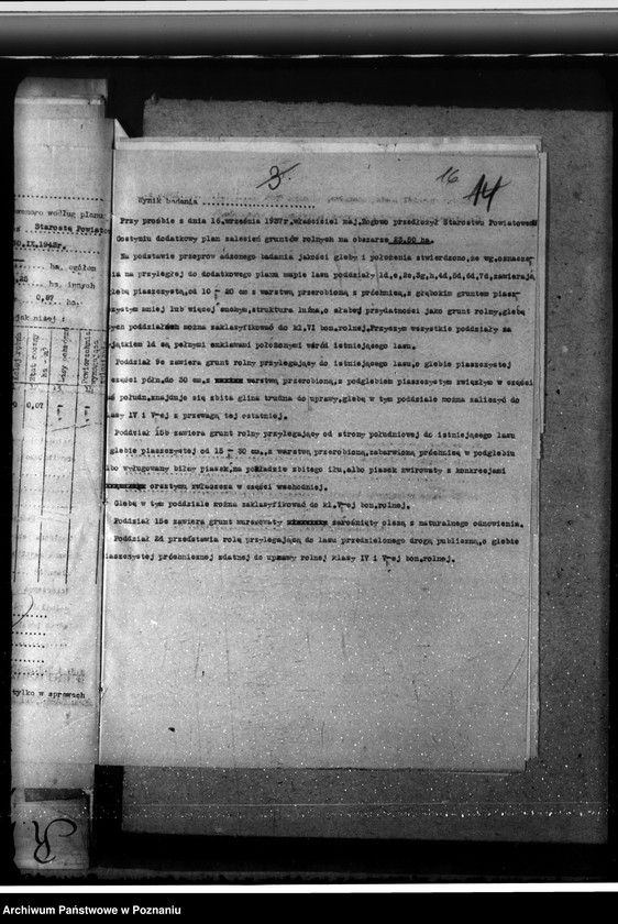 Obraz 20 z jednostki "Nadzór nad gospodarką w lasach majętności Rogowo w powiecie gostyńskim"