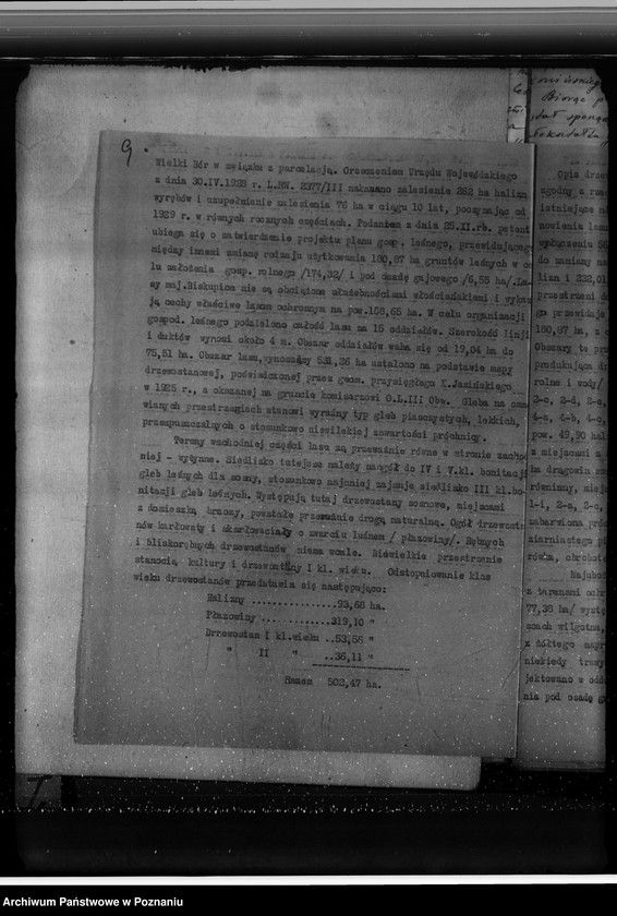 Obraz 13 z jednostki "Sprawa zmiany rodzaju użytków 180,87 ha gruntów leśnych w majątku Biskupiec-Wielki-Bór powiatu konińskiego dla celów gospodarstwa rolnego"