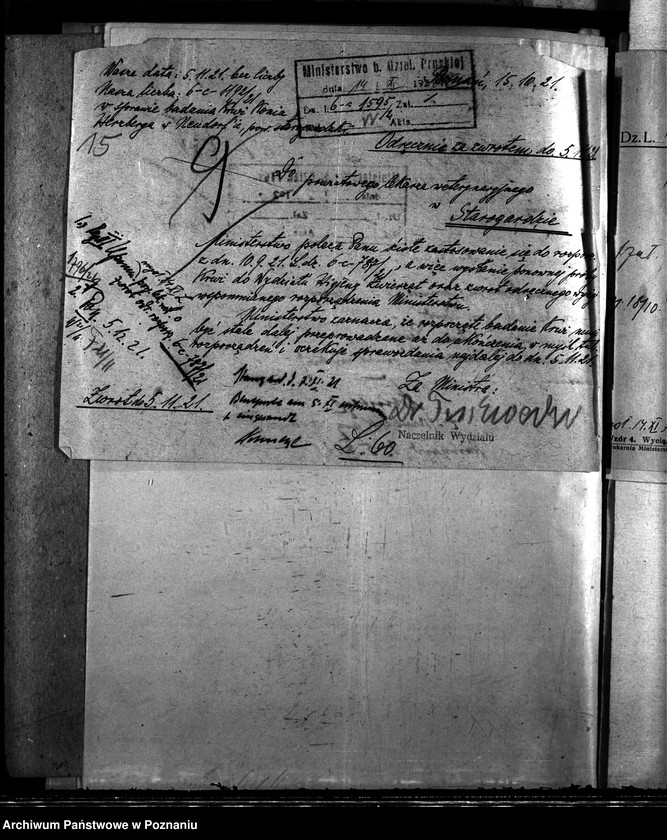 Obraz 19 z jednostki "Nosacizna - Starogard"