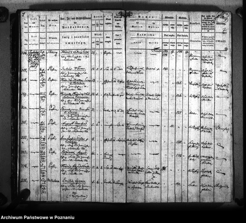 Obraz 10 z jednostki "Sterbenbuch"