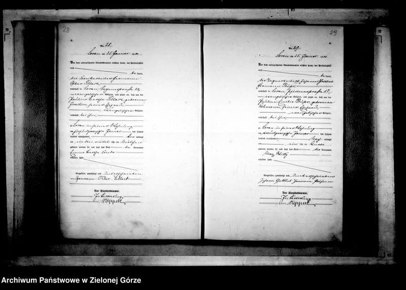 Obraz 19 z jednostki "[Księga akt urodzenia rok 1900-Żary miasto]"