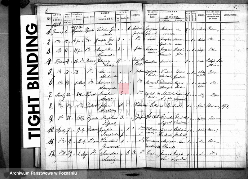 Obraz 13 z jednostki "Liber baptisatorum, copulatorum u. mortuorum"