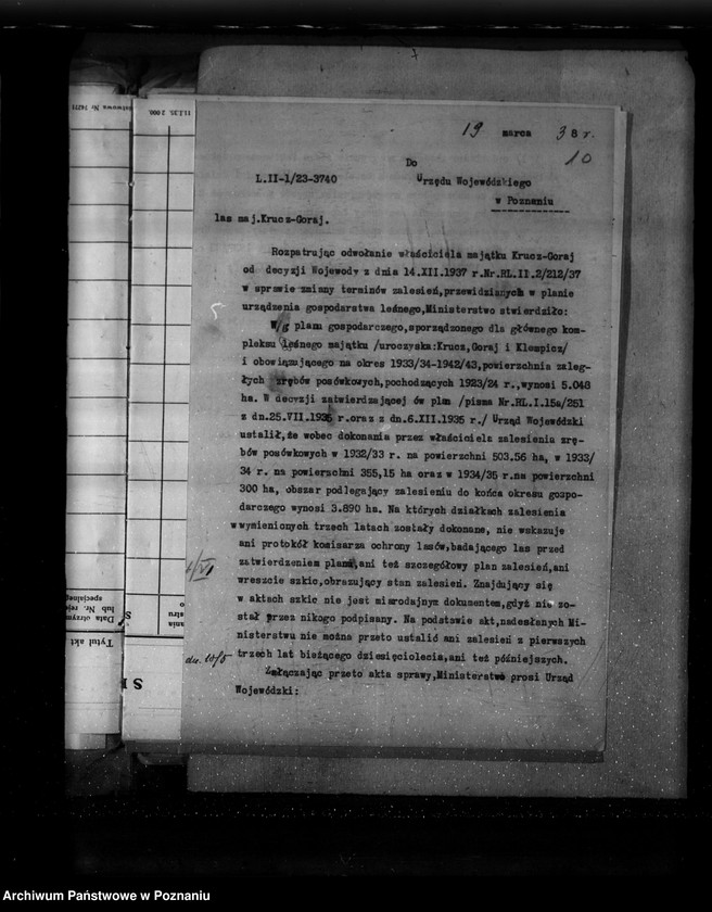 Obraz 16 z jednostki "Sprawa zalesienia majątku Krucz-Goraj"