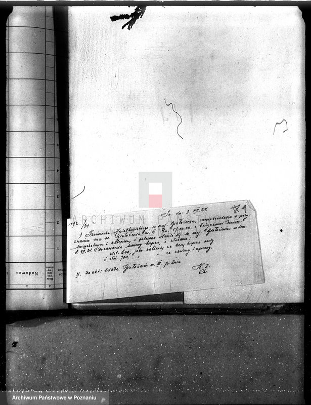 Obraz 5 z jednostki "Białowieżyn III w powiecie żnińskim osada rentowa"