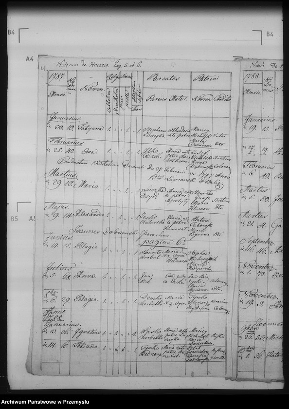 Obraz 8 z jednostki "[Kopie ksiąg metrykalnych parafii Hoczew z filiami Bachlowa, Dziurdziów (dekanat Baligród)]"