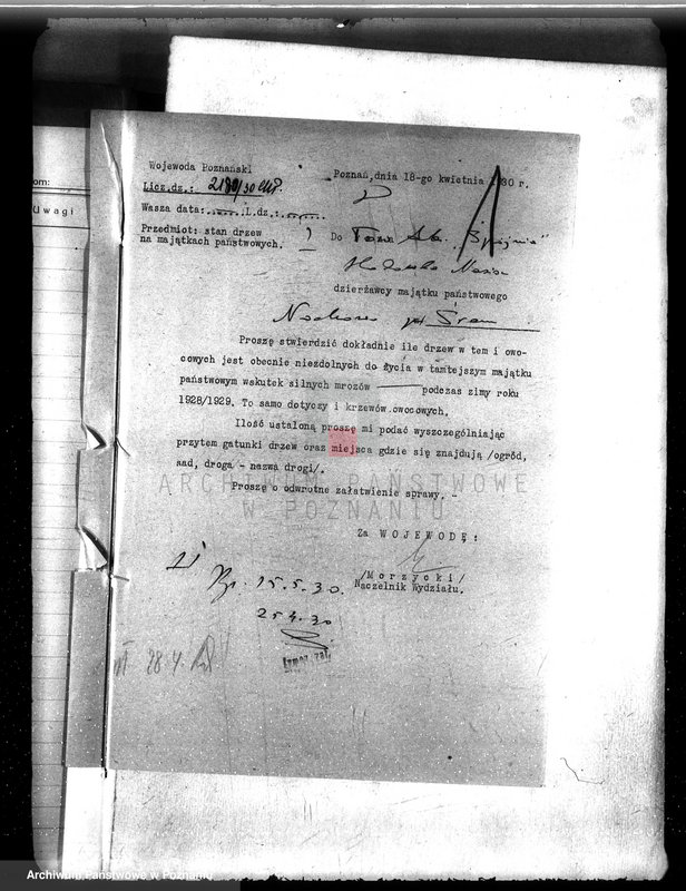 image.from.unit.number "Las majętności Nochowo w powiecie śremskim"