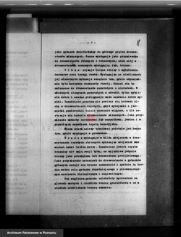 Obraz 12 z jednostki "Plan urządzania gospodarstwa leśnego majętności Borówkowo-Stare powiat. kościański"