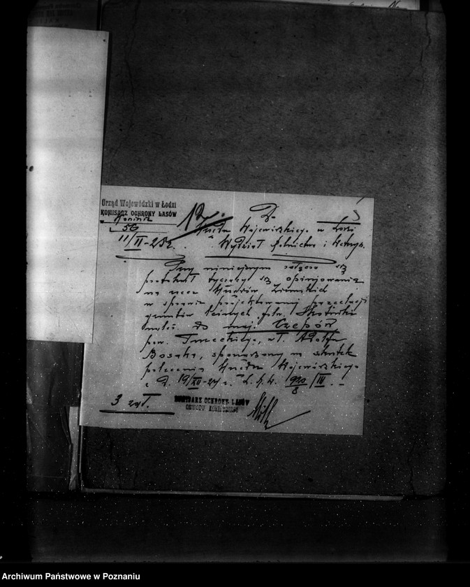 Obraz 11 z jednostki "Sprawa zatwierdzenia projektu planu gospodarstwa leśnego dla lasu majątku Czepów-Dolny powiat turecki"