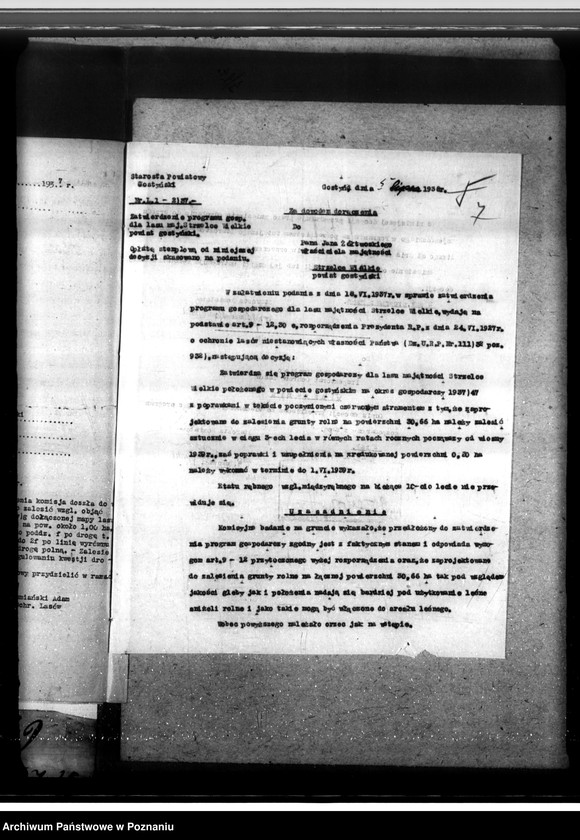 Obraz 11 z jednostki "Las majątku Strzelce-Wielkie w powiecie gostyńskim"