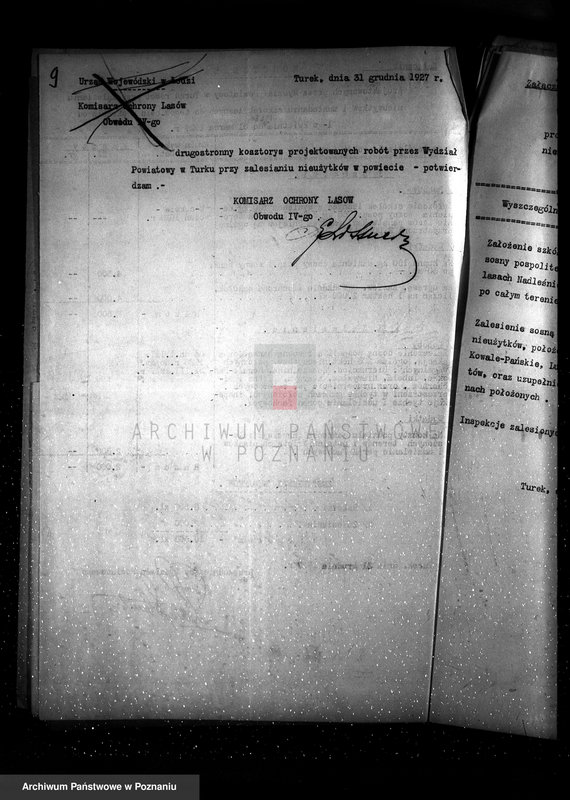 Obraz 13 z jednostki "Zalesienie nieużytków powiatu tureckiego"