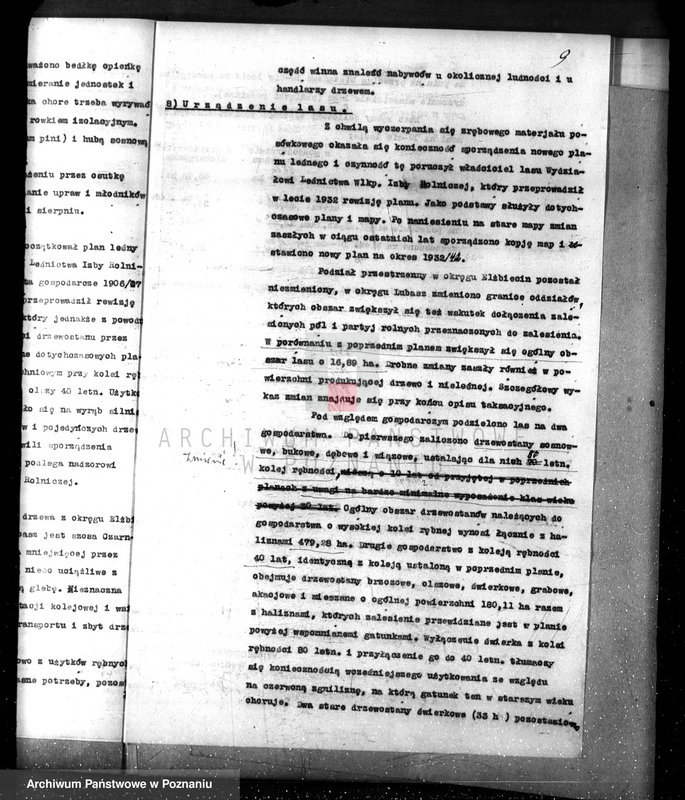 Obraz 13 z jednostki "Nadzór nad lasami/ majątku Lubasz powiatu czarnkowskiego"