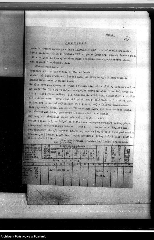 Obraz 6 z jednostki "Lasy majątku Cierpiatki w powiecie kaliskim"