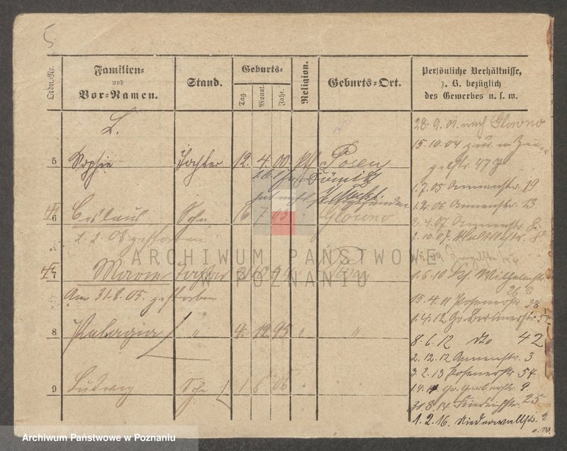 Obraz 5 z jednostki "Łodygowski - Łopuszyński"