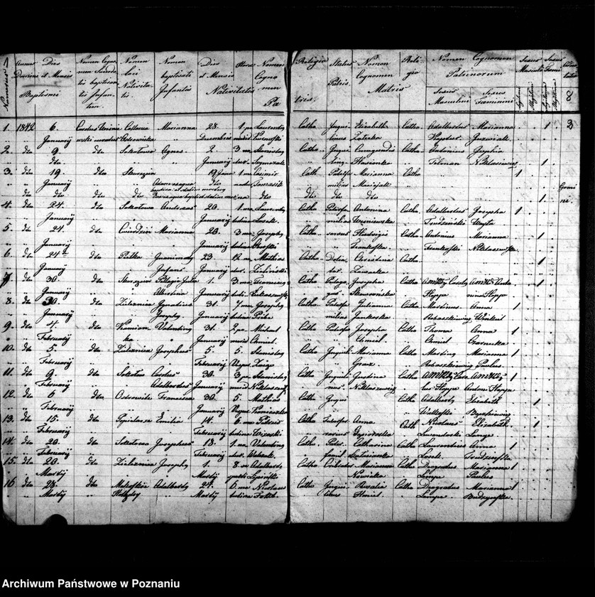 image.from.unit.number "Duplicatus baptisatorum, copulatorum, mortuorum"