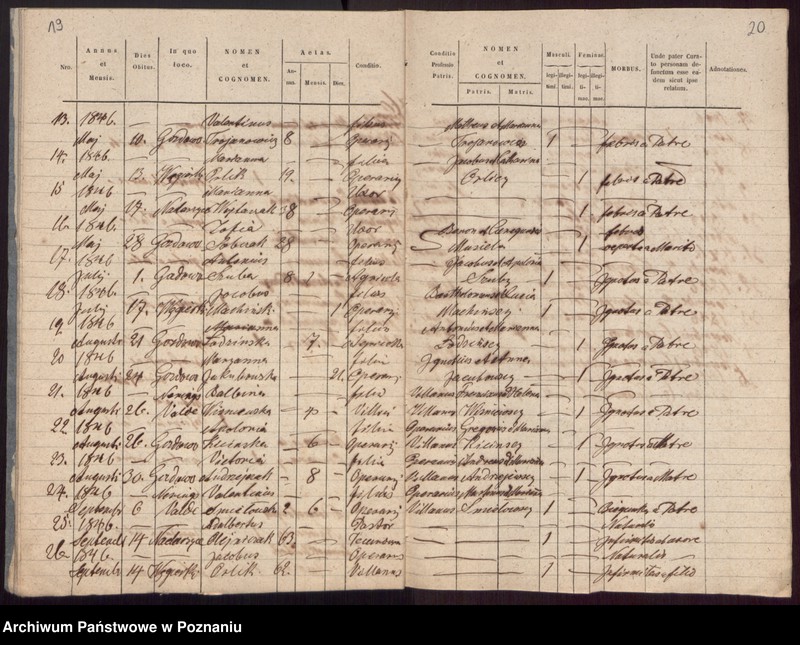 Obraz 13 z jednostki "Libri Metrices Baptisatorum, Copulatorum et Mortuorum."