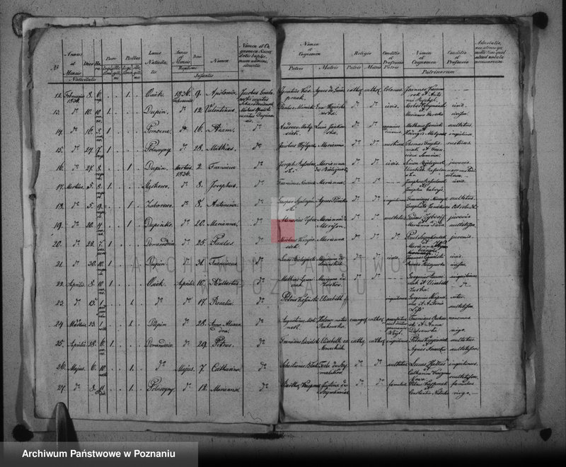 image.from.unit.number "Duplikat baptisatorum, copulatorum, mortuorum"