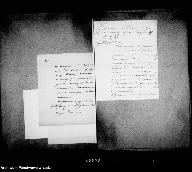 Obraz 16 z jednostki "O počinke mostov v 1894 godu"