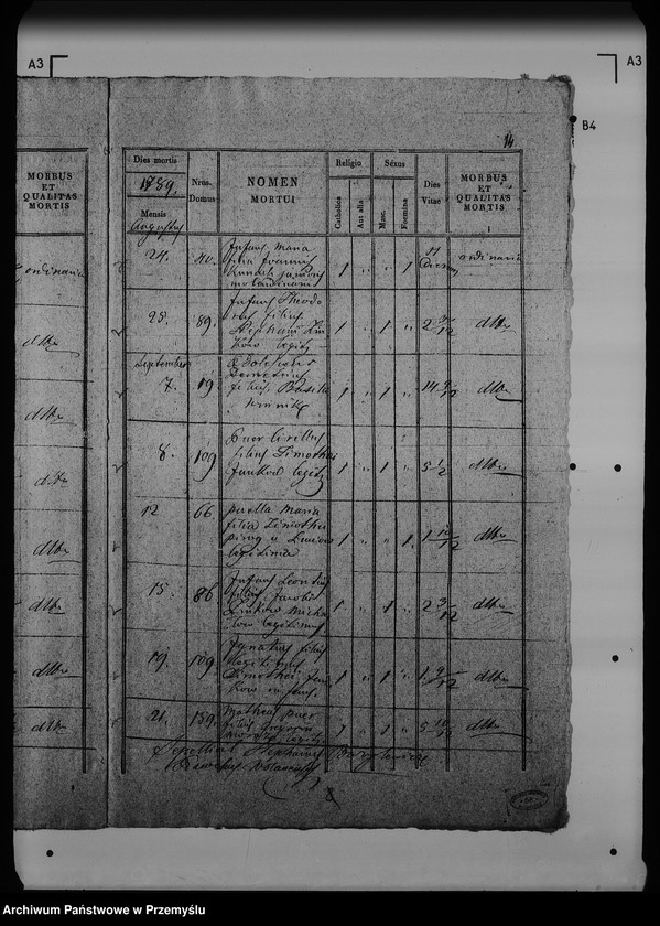 Obraz 20 z jednostki "[Kopie ksiąg metrykalnych parafii Wólka Mazowiecka (dekanat Rawa Ruska)]"