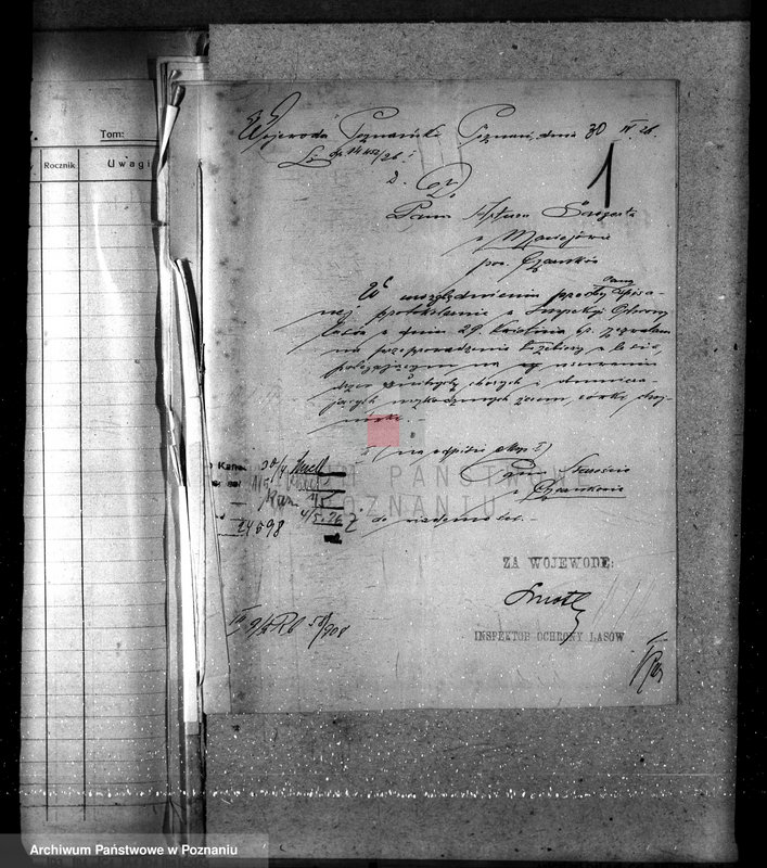 Obraz 5 z jednostki "Nadzór nad lasami majętności Maciejewo w powiecie czarnkowskim"