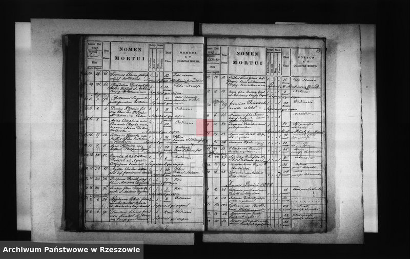 image.from.unit.number "Księga zgonów - Borek Stary"