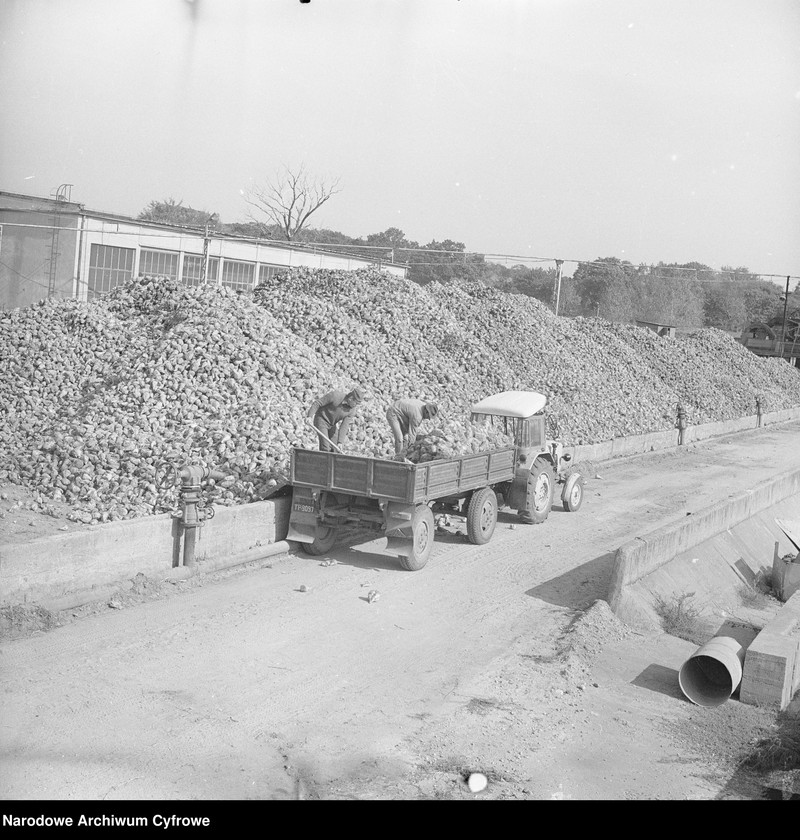 Obraz 9 z jednostki "Cukrownia "Michałów" w Lesznie koło Warszawy"