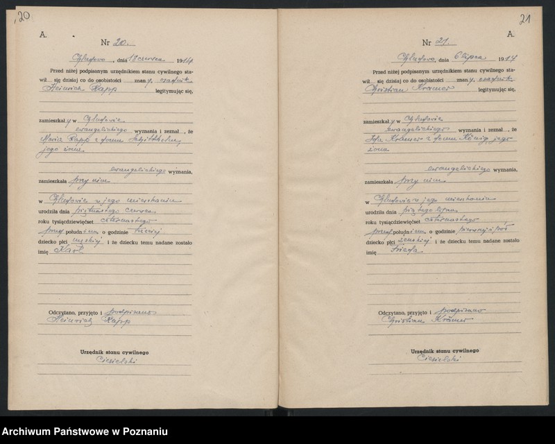 Obraz 13 z jednostki "Księga urodzin [Rejestr poboczny urodzeń]"