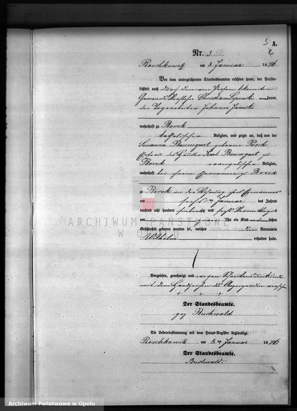 image.from.unit.number "Geburts-Neben-Register Standesamts Roschkowitz pro 1876"