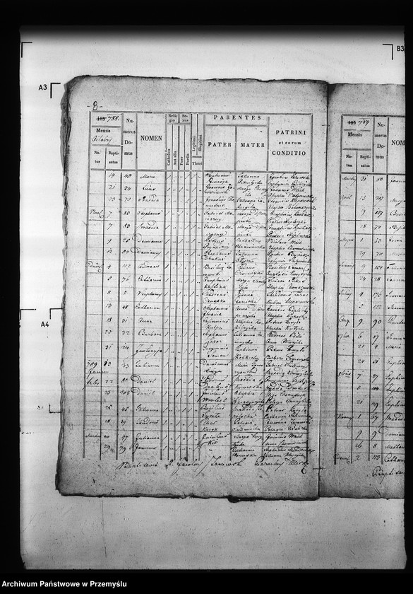 Obraz 12 z jednostki "[Kopie ksiąg metrykalnych parafii Ulicko (dekanat Niemirów)]"