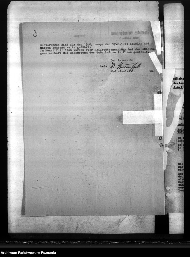 Obraz 7 z jednostki "Transport Niemców znad Morza Czarnego na teren Kraju Warty"