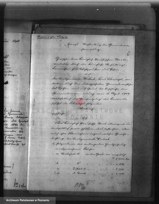 Obraz 10 z jednostki "Las gminy Olszewo powiat ostrowski"