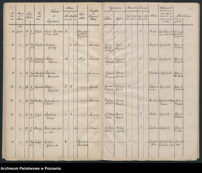 Obraz 8 z jednostki "Księga zgonów"