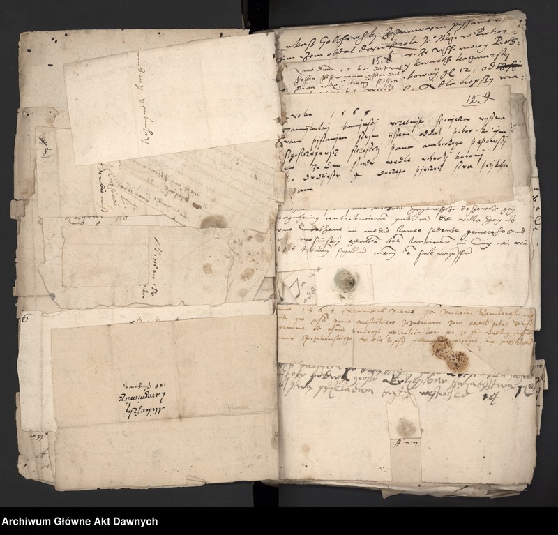 image.from.unit.number "Rekognicje poborowe z różnych województw."