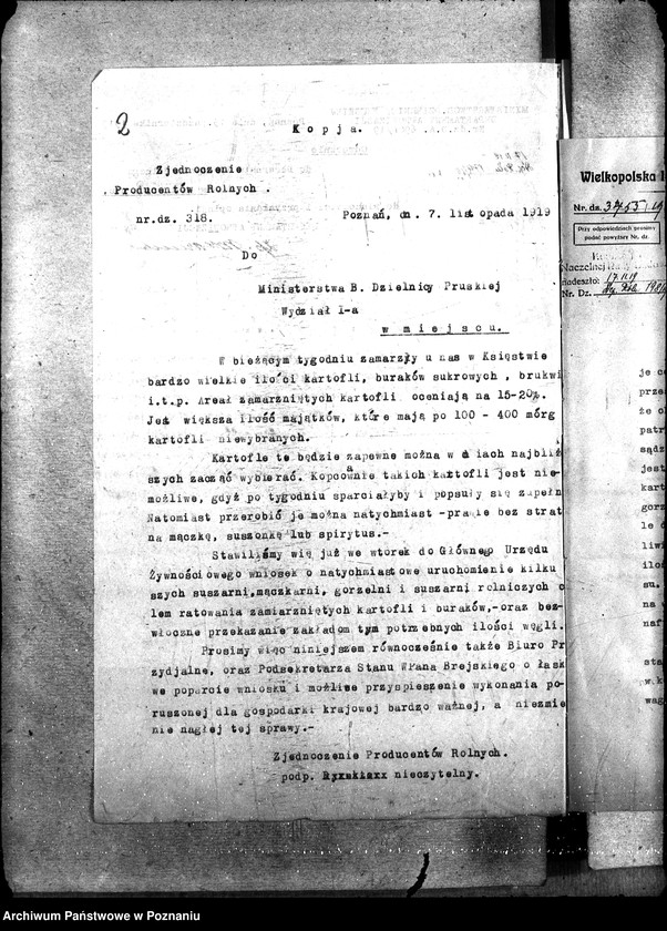 Obraz 6 z jednostki "Kartofle"