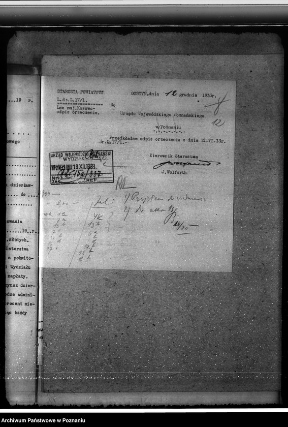 Obraz 16 z jednostki "Nadzór nad gospodarką w lasach majątku Kosowo w powiecie gostyńskim"