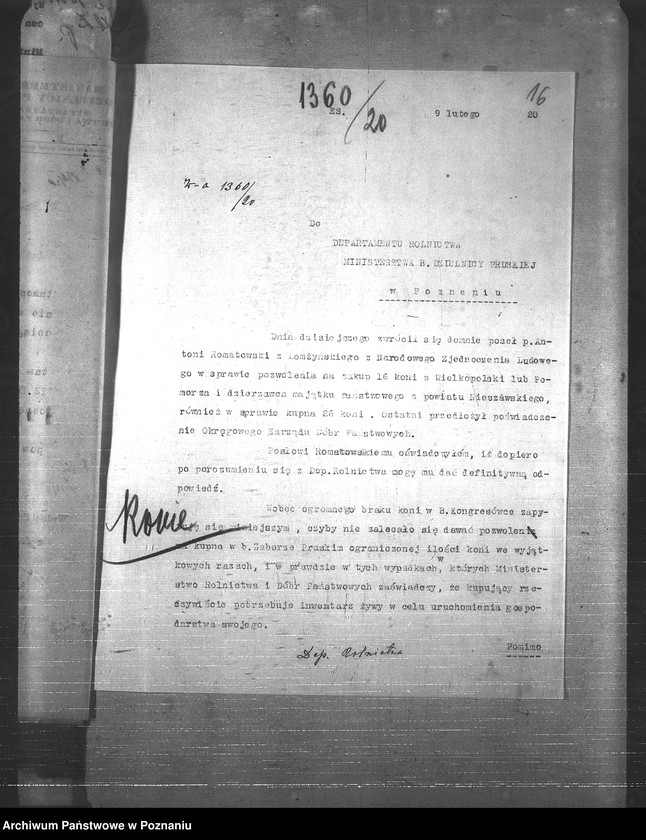 Obraz 20 z jednostki "Konie"