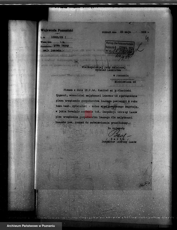 Obraz 8 z jednostki "Zarząd majętności Lusówko powiat poznański/ nadzór nad gospodarką leśną/"