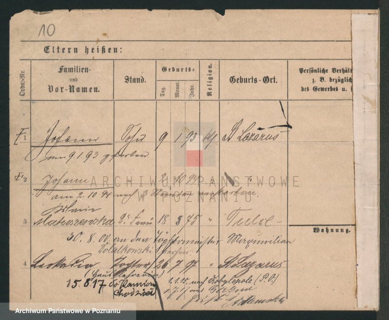 Obraz 10 z jednostki "Lewandowski (żonaci i wdowy)"