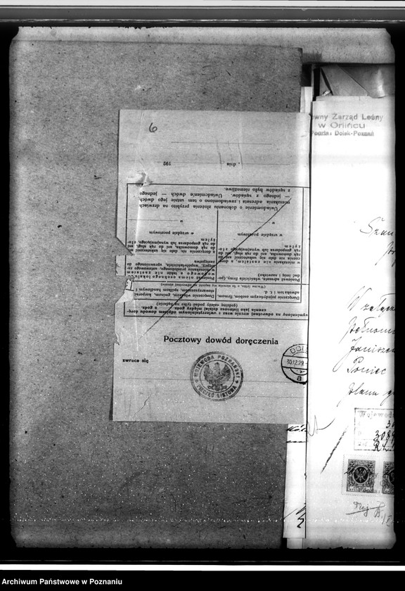 Obraz 10 z jednostki "Lasy majętności Wydawy w powiecie gostyńskim"