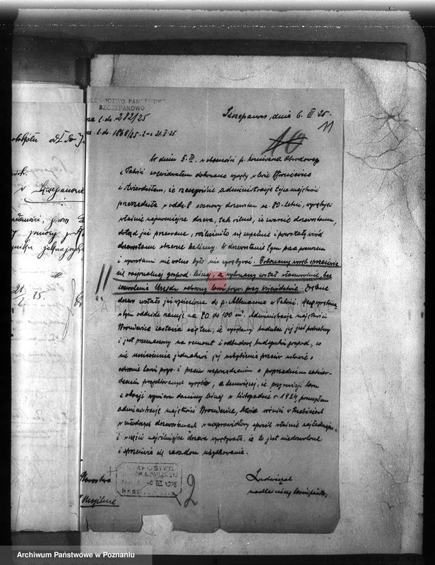 Obraz 15 z jednostki "Majętność leśna /Bronie wiec/ powiat mogileński"