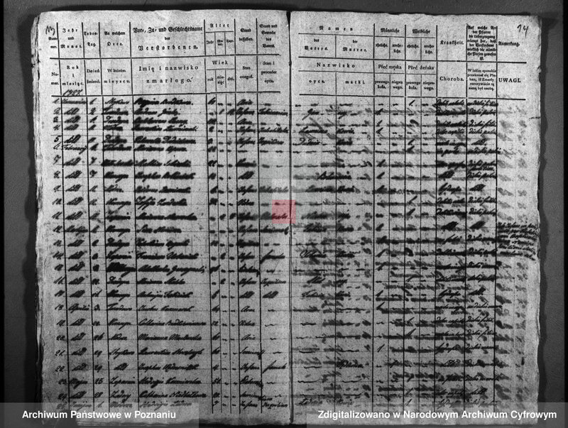 image.from.unit.number "Duplicatus baptisatorum, copulatorum, mortuorum"